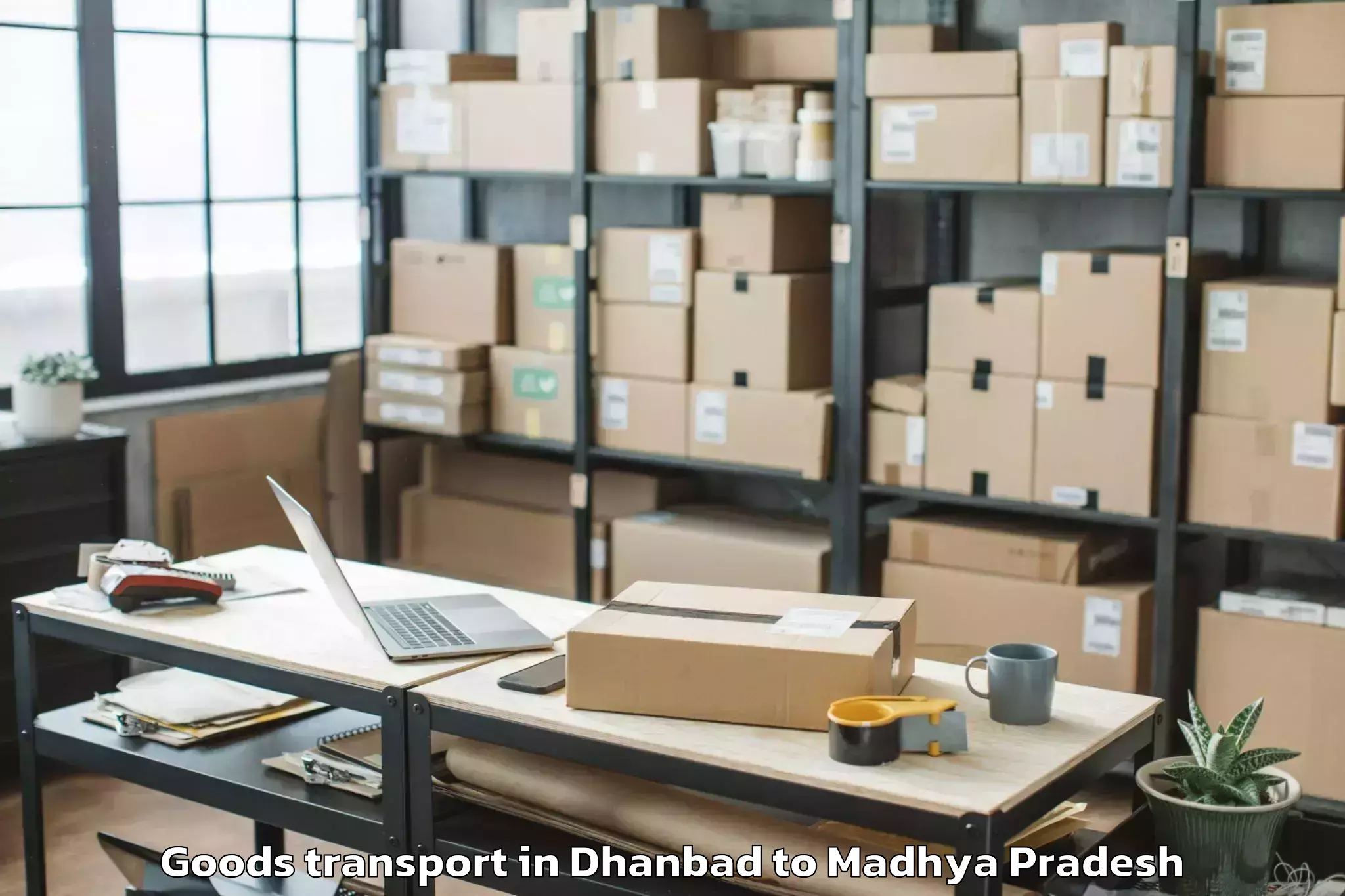 Reliable Dhanbad to Maksi Goods Transport